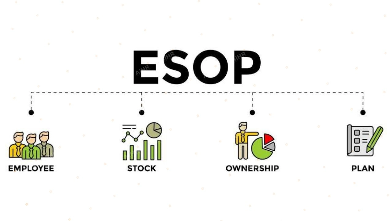Tổng quan nhanh: ESOP là gì và vì sao khác biệt giữa Mỹ – Việt?