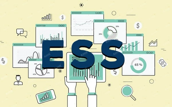 ESS là gì? Toàn cảnh và vai trò trong kỷ nguyên 4.0