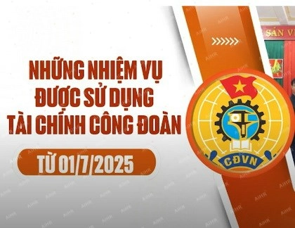 Khung pháp lý mới nhất: Bạn cần nắm gì trước khi ra quyết định?