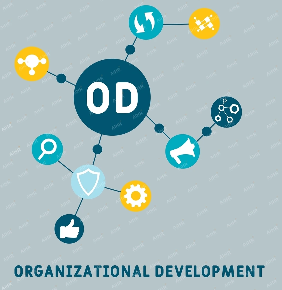 Một chương trình OD hoàn chỉnh hiếm khi chỉ có một can thiệp. Bạn cần “portfolio” can thiệp kết hợp chiến lược, cấu trúc, quy trình, con người, văn hóa và công nghệ. Mức độ ưu tiên tùy bối cảnh và mục tiêu.
